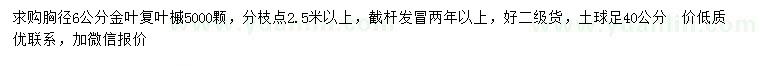 求購(gòu)胸徑6公分金葉復(fù)葉槭