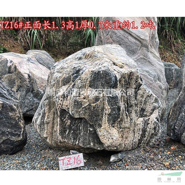 園林景觀石泰山石草坪點綴石奇石 TZ16