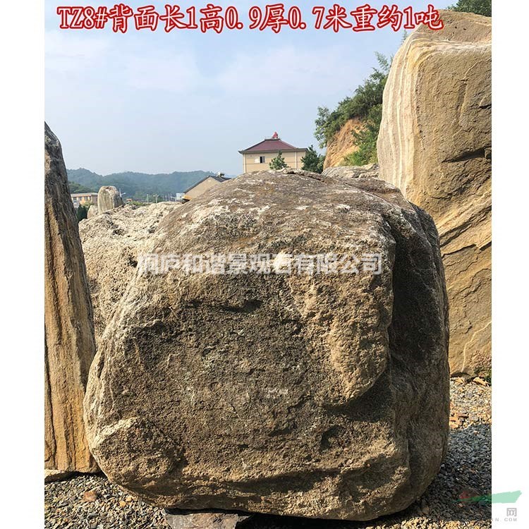 天然景觀石 園林泰山石奇石雪浪石點石 TZ8