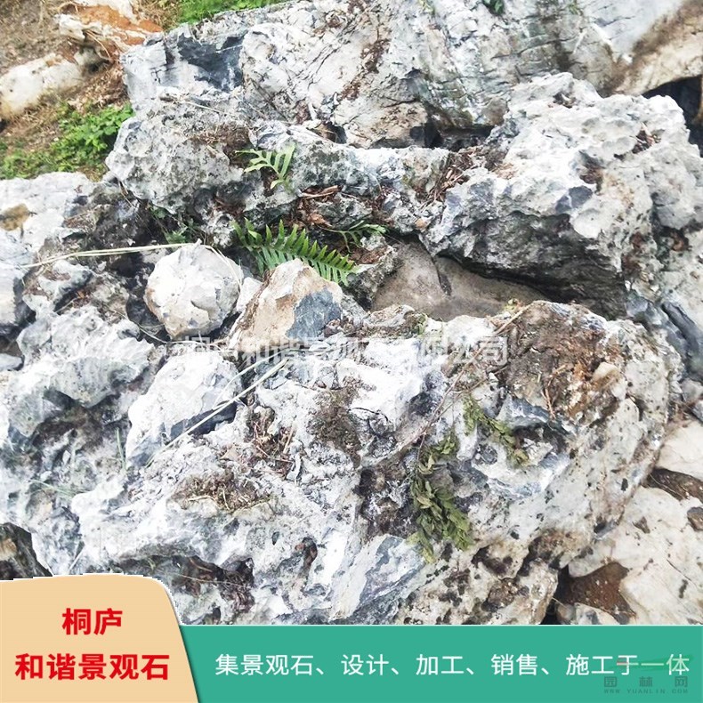 浙江天然風(fēng)景石太湖石點(diǎn)石統(tǒng)貨直銷(xiāo)