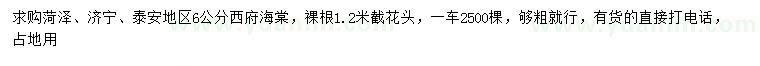 求購(gòu)6公分西府海棠