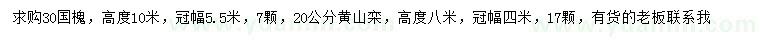 求購30公分國槐、20公分黃山欒