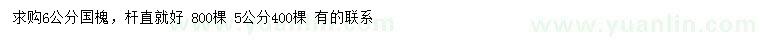 求購5、6公分國槐