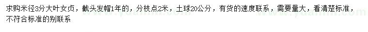 求購米徑3公分大葉女貞