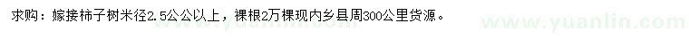 求購(gòu)米徑2.5公公以上柿子樹