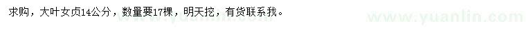求購14公分大葉女貞