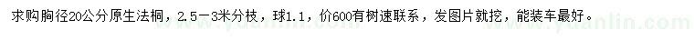 求購(gòu)胸徑20公分法桐