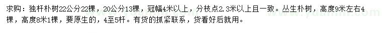 求購20、22公分樸樹、高8、9米叢生樸樹