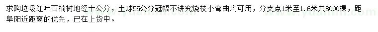 求購(gòu)地徑10公分紅葉石楠