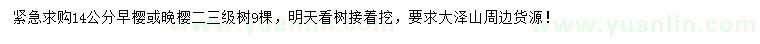 求購14公分早櫻、晚櫻