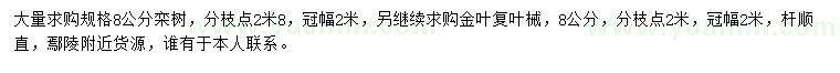 求購8公分欒樹、金葉復(fù)葉槭