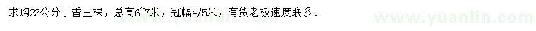 求購(gòu)23公分丁香