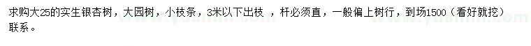 求購25公分銀杏