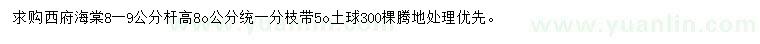 求購8-9公分西府海棠