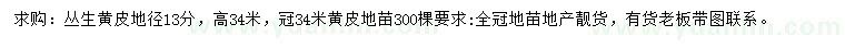 求購地徑13公分叢生黃皮
