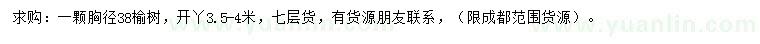求購(gòu)胸徑38公分榆樹(shù)