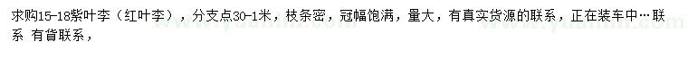 求購(gòu)15-18公分紫葉李