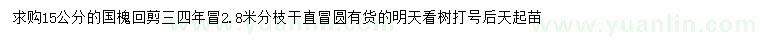 求購(gòu)15公分國(guó)槐
