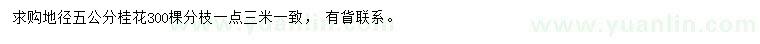 求購地徑5公分桂花