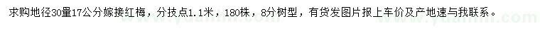 求購30量17公分紅梅