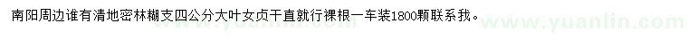 求購4公分大葉女貞