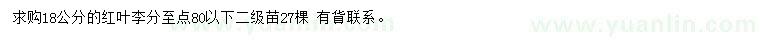 求購18公分紅葉李