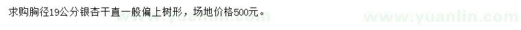 求購(gòu)胸徑19公分銀杏