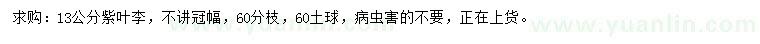 求購13公分紫葉李