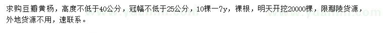 求購高不低于40公分豆瓣黃楊
