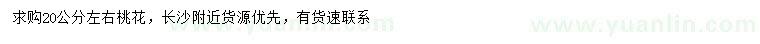 求購20公分左右桃花
