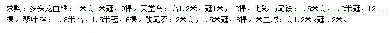 求購多頭龍血鐵、天堂鳥、七彩馬尾鐵等