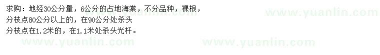 求購30量6公分海棠