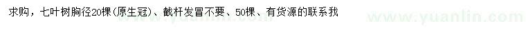 求購胸徑20公分七葉樹