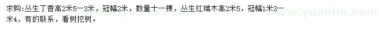 求購高2.5-3米叢生丁香、高2.5米叢生紅瑞木