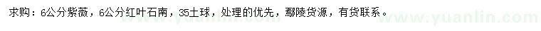 求購6公分紫薇、紅葉石楠