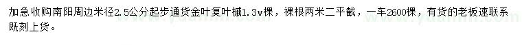 求購米徑2.5公分起步金葉復(fù)葉槭