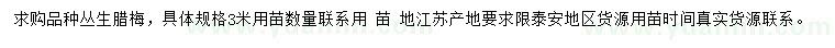 求購3米叢生臘梅
