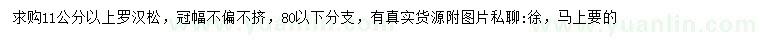 求購11公分以上羅漢松