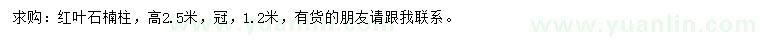 求購高2.5米紅葉石楠柱