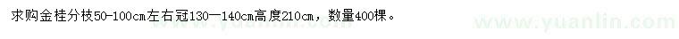 求購(gòu)高210公分金桂
