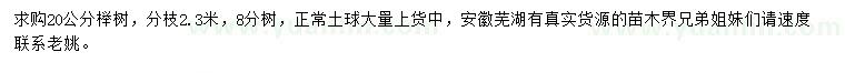 求購20公分櫸樹