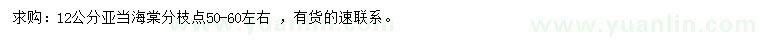 求購(gòu)12公分亞當(dāng)海棠