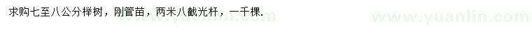 求購7-8公分櫸樹