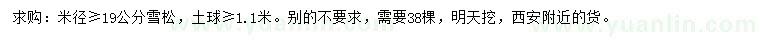 求購米徑19公分以上雪松