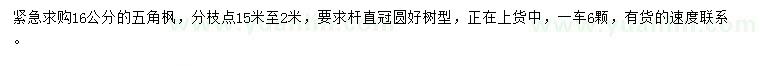 求購(gòu)16公分五角楓