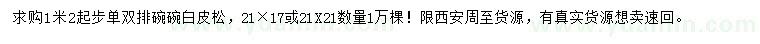 求購1.2米起步白皮松