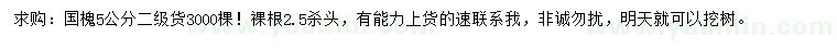 求購5公分國槐