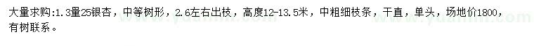 求購(gòu)1.3米量25公分銀杏