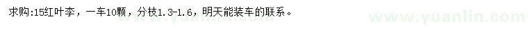 求購15公分紅葉李