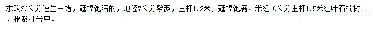 求購速生白蠟、紫薇、紅葉石楠
